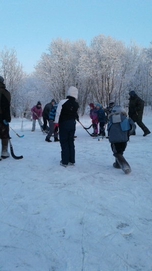 Ледовый бой